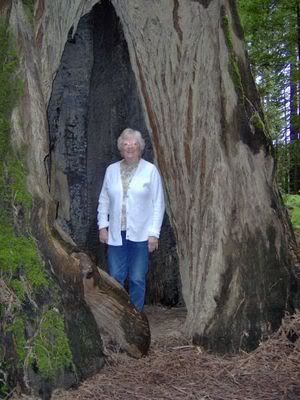 Pamela Walker