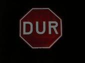 Dale Dauphinais
