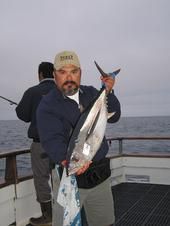 Gilbert Saucedo