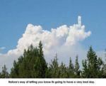 Travis Cloud