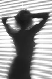 Tami Shane