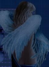 Rebecca Finnick