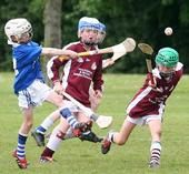 Matthew Oneill