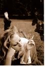 Jennifer Hardin