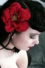 Cassie Briggs