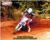 Timothy Farmer