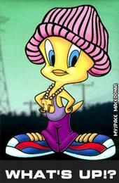 Stacy Zimmer