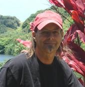 David Allison