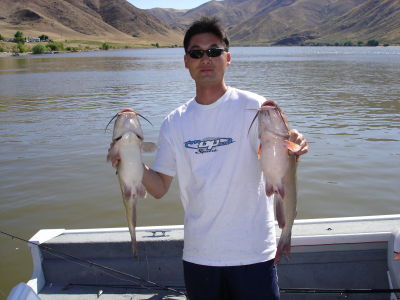 Michael Chen