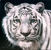 Cesar Flechas