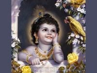 Nilesh Nayee