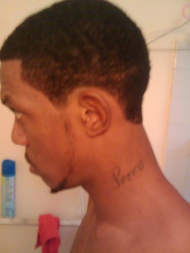 Shakir Best