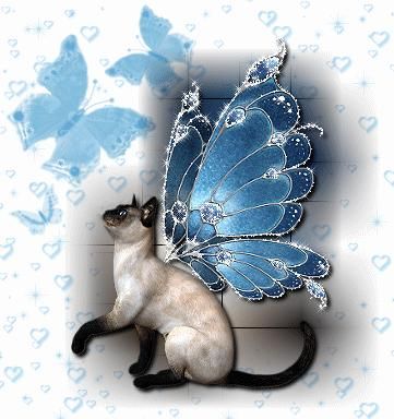 Dawn Alfredsen