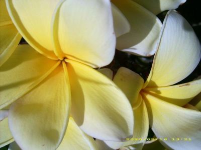 Debra Stambaugh