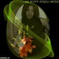 Sharon Pearson