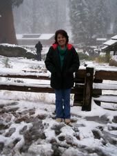 Debra Bray