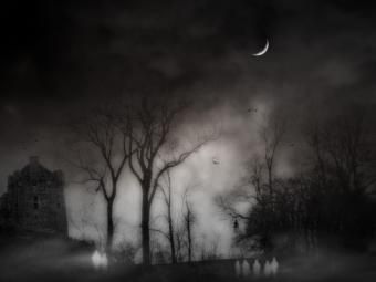 Mark Dow
