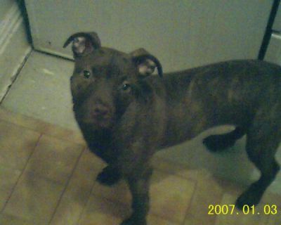 Troy Mcdaniel
