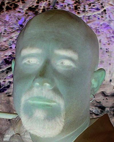 Trevor Hibbert