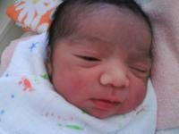 Lanisha Stackhouse