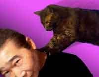 Stuart Araki