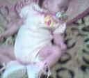 Amber Okoth
