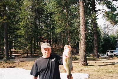 Allan Freeberg