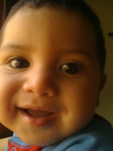 Luis Flores