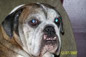 Melvin Burris
