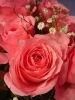 Mohinesh Sharma