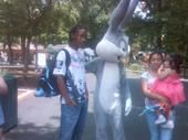 Vergil Willis