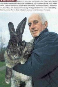 Vernon Dowdall