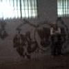 Flavio Lema