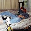 Shane Steffes