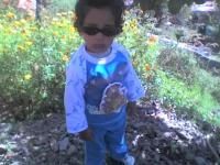 Ashok Pathak