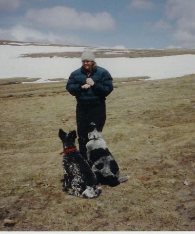 Karen Parkins
