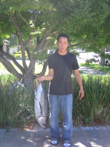 Robert Kim