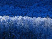 Scott Sansom