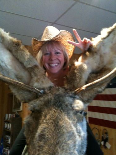 Kelly Ludwig