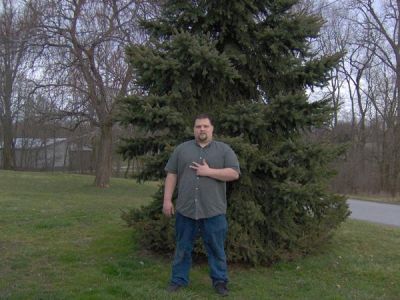 Matthew Moyer