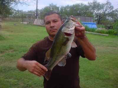 Ronald Trevino