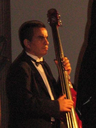Luis Dominguez
