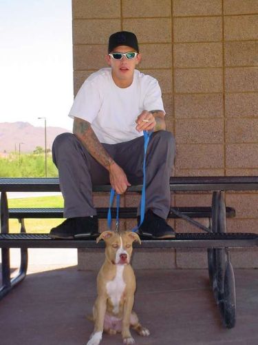 Brandon Bower
