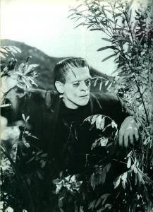 Karl Fowler