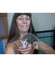 Deborah Mccall