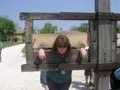 Lynne Tocci
