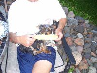 David Jorgenson