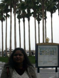 Renu Chitturi