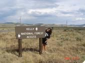 Kelly Tyler