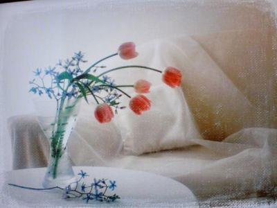 Linda Matheny